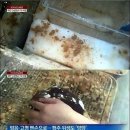 빙수크다