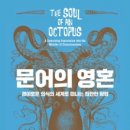 문어다리여덟개 이미지