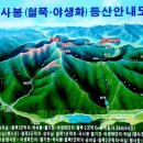 석동암주유소 Daum카페