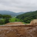 에덴부동산중개사무소 이미지