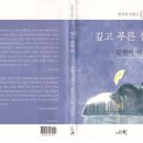 문현미 시집 [깊고 푸른 섬] (한국의서정시 097 / 도서출판 시와시학. 2016.05.10) 이미지