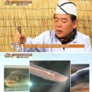 통영장어 이미지