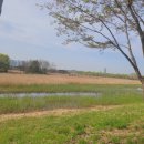 비봉인공습지 이미지