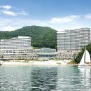 스테이외포 이미지