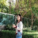여성크로스백 앤클라인가방 도로시 미니 체인백 착용 후기