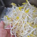 백아한방병원 이미지