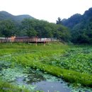 분저리녹색체험마을 이미지