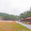 때뿌루민박 이미지