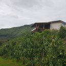 성지농장 이미지