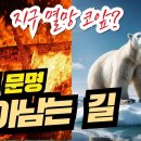 🔥 기후 재앙! 살려줘~ 🌍 빙하 녹고 산불 재앙. 인류 멸망 코앞, 기후 위기 지금 행동해야 합니다 이미지