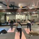 근육 관절 탄탄 아쉬탕가 요가 이미지