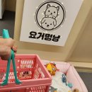 요거멍냥