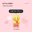 (주)평화의섬-제주 | 혼신의 힘을 다한 제주평화의섬 마라톤 1등 후기