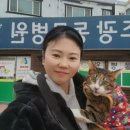 조광동물병원 이미지