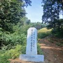 2025년도 납골 묘원 벌초 행사 이미지