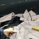 롯데명품세탁 이미지