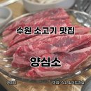 오렌즈 스타필드수원점 | 수원소고기맛집 양심소 스타필드수원점 후기