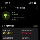 세영아쉬탕가요가 네이버블로그