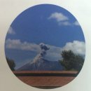 이종태농장 이미지