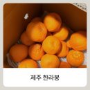 좋은선물 | 제주 한라봉 선물용으로 좋은 선물세트 후기