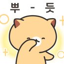 셀라비플라워