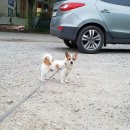 용문세차장 이미지