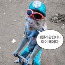 화락바베큐치킨광명
