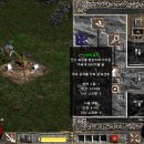 2 FIELD(필드) 이미지