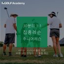 케이골프(K골프) 이미지