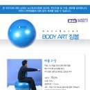 [뉴스포츠산업]- 짐볼-75 이미지