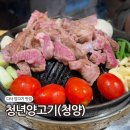 구수2세천 | 대구 양고기 다사 세천 맛집 청년양고기 양갈비 구워주는 고기집