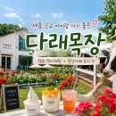 세종약국 | 세종시 근교 아이랑 가기 좋은 청주 목장 카페 다래목장 후기
