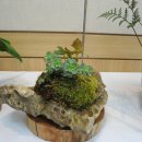 최영숙농장 이미지