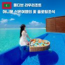 위드신스카서비스 | 몰디브 허니문 신혼여행 패키지 럭셔리 리우 팰리스 리조트 워터빌라 플로팅조식 룸타입