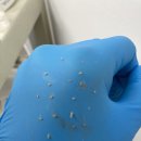 어원장의피부연구소