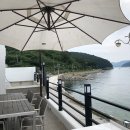 거제비타민씨 이미지