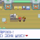 씨티블루 이미지