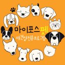 하나애견샵 이미지