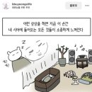 라이프바이브