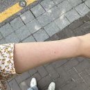 햇빛 알러지는 싫어! (래트바이티 라피아햇 후기)