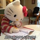 [사회복지사1급 기본이론] 인간행동과 사회환경 (2022년 개정) | [사회복지사 1급 합격후기] 2025년 제 23회 사회복지사 1급 직장병행 공부법/공부기간/꿀팁