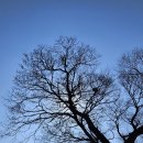 육연집 | 경주여행 23, 경주 최부자댁 300년 부자의 비밀과 품격, 교촌마을과 경주향교