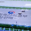 강운축산 이미지