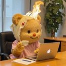 SH Soft | 🍀오늘 당신에게 좋은일이 있을 겁니다.