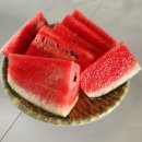 사막투어 현지업체 코이팜(Khoipham) 단독(프라이빗...그룹투어 둘 다 가 본 후기 & 찐로컬 쌀국수집 추천