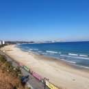 동해설악공인중개사사무소 이미지