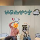 금송목장 이미지