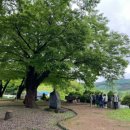 용소막농장 이미지