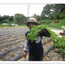 풍성한 은혜농장 이미지