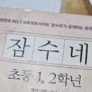 로아네 이미지